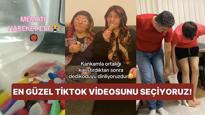 Bu Haftanın En İyi TikTok Videosunu Seçiyoruz!