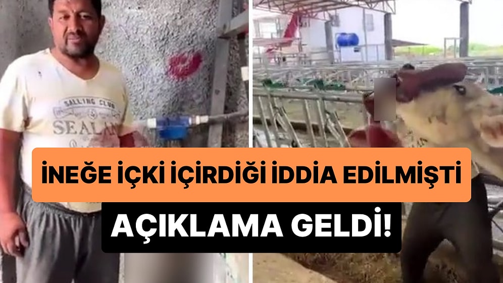 İneğe İçki İçirdiği İddiası ile Gündeme Gelen Çiftçi: 'Plastik Eziliyor Diye Cam Şişede İlaç Veriyordum'