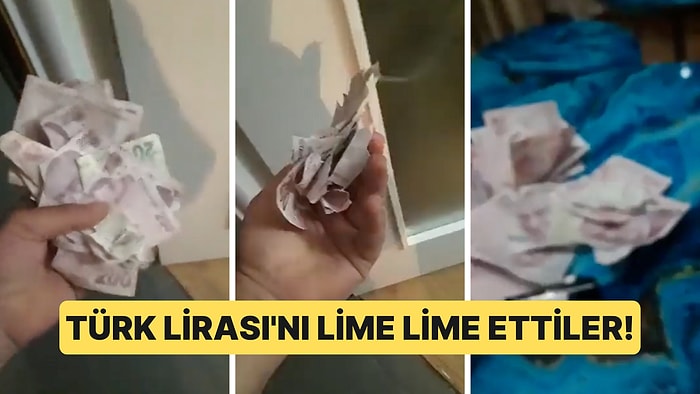 Beylikdüzü'nde Yaşayan Filistinli İki Adamın Türk Lirası'nı Yırtıp Videosunu Komşularına Göndermesi Olay Oldu