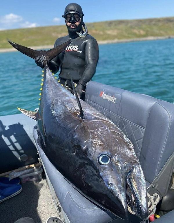 Zıpkınla balık avı eski milli takım sporcularından Ozan Önen, 18 Haziran'da Çanakkale Boğazı'nda yeni trofe (nadiren avlanabilen balık) yakalamak için denize açıldı.