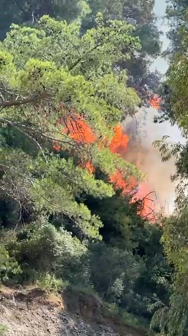 Yangın, saat 15.00 sıralarında Aksu ilçesi Çalkaya ve Hacıaliler mahallelerinin orta noktasındaki ormanlık alanda başladı. İnşaat sahası içerisindeki konteynerde başlayıp ormanlık alana sıçrayan yangın, rüzgarın da etkisiyle hızla yayıldı.