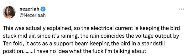 "Bu aslında açıklandı, yani elektrik akımı kuşu havada tutuyor, yağmur yağdığı için voltaj on katına çıkıyor ve kuşu durma pozisyonunda tutan bir kirişi görevi görüyor... Neyden bahsettiğim hakkında hiçbir fikrim yok"