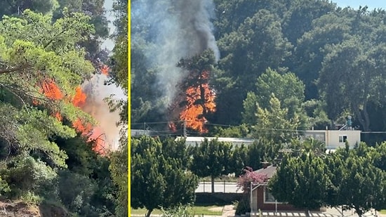 Antalya'da Orman Yangını: Ekipler Yangına Müdahale Ediyor