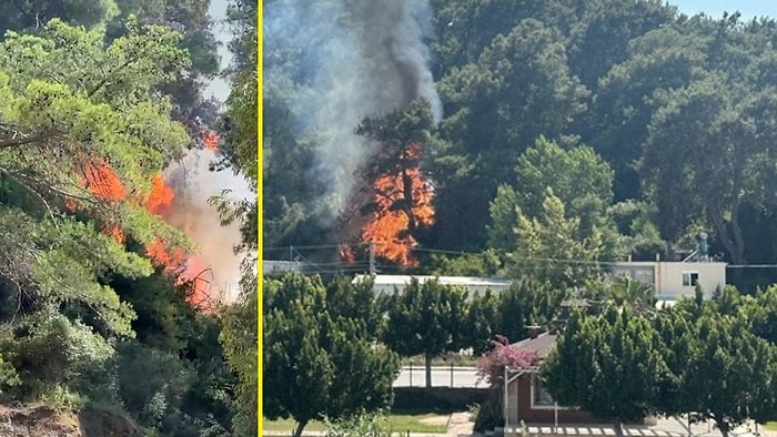 Antalya'da Orman Yangını: Ekipler Yangına Müdahale Ediyor