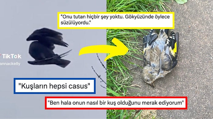 Gökyüzünde Süzülen Ölü Kuşun Akıllara Durgunluk Veren Videosu Sosyal Medyada Gündem Oldu!