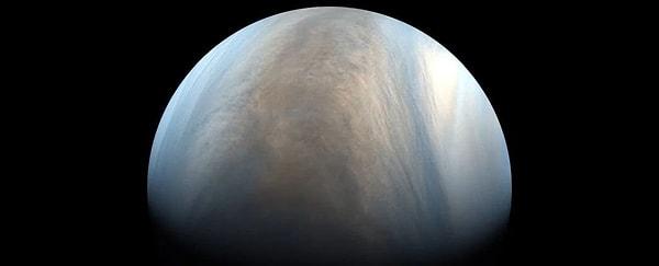 Venüs'ün zehirli atmosferi olmasaydı Dünya olabilirdi ya da olmazdı.