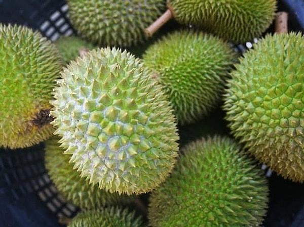1. Durian meyvesinin bilinen otuz türü olsa da sadece on bir tanesi yenilebilir.