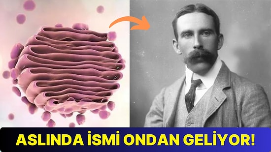 Doktor Camillo Golgi Kimdir ve Bilim Dünyasına Katkıları Nelerdir?