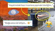 Fotoğraf Çekmek İsterken Yanlışlıkla Rönesans Tablosu Yaratan Kişilerden Muazzam Kareler