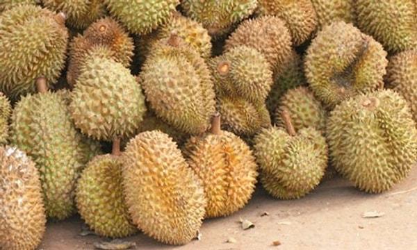 14. Şeker hastalarına durian yemeleri tavsiye edilmez.