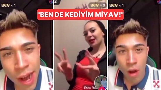 Miyavlayarak ve Hırlayarak Flörtleşen İkili Gündem Oldu