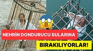 Akıllara Durgunluk Veren Gelenek! Kuzey İtalya'da Her Yıl Bir Politikacı Kafes İçinde Nehre Bırakılıyor