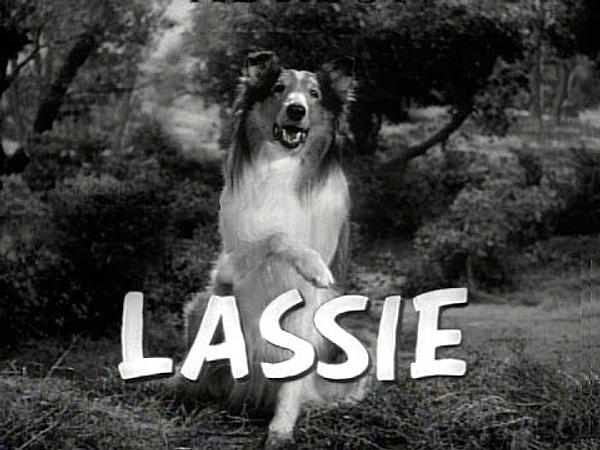 10. Lassie
