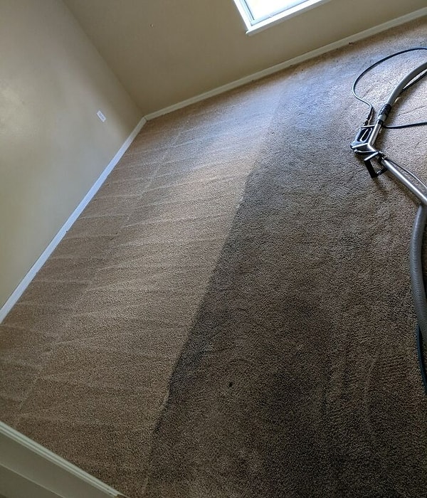 12. «Занимаюсь чисткой ковров. Обожаю свою работу»