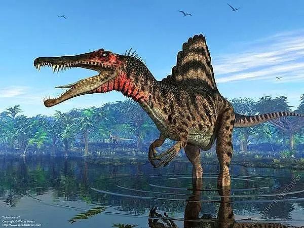 Spinozorlar, özellikle Mısır ve Fas gibi bölgelerde fosil kalıntıları bulunan bir dinozor grubudur.