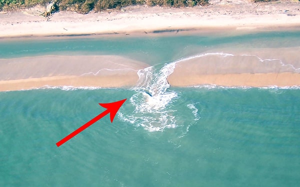 Поделитесь этим постом с друзьями и близкими, которые собираются на море. Возможно, когда-то это знание спасет им жизнь