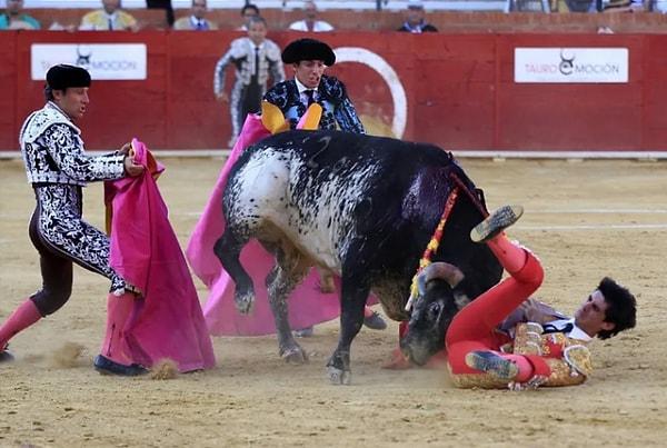 12. 29 yaşındaki Víctor Barrio Hernanz, İspanya'nın Segovia kentinden profesyonel bir boğa güreşçisiydi. 9 Temmuz 2016'da Teruel'deki Feria del Ángel festivaline katıldı.