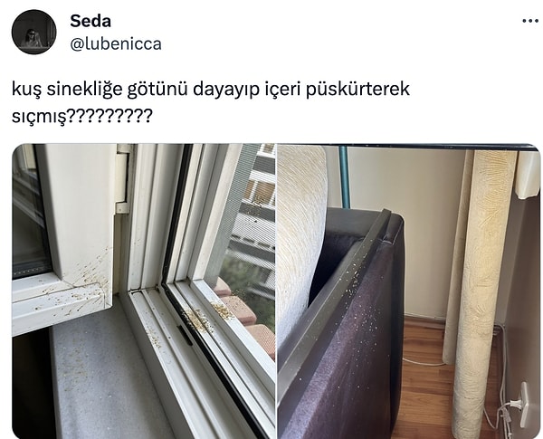 Büyük yetenek!