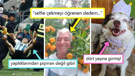 Gördüğünüz Anda İçinizin Yağlarını Eritip Sizi Pamuk Gibi Yapacak Birbirinden Etkileyici 15 Görsel