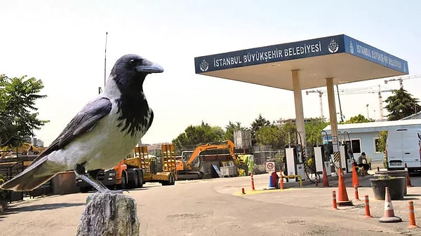 Cinayet şüphesi yoğunlaşırken Asayiş Şube Müdürlüğü Cinayet Büro Amirliğinin görevlileri de araştırmalarına başladı.