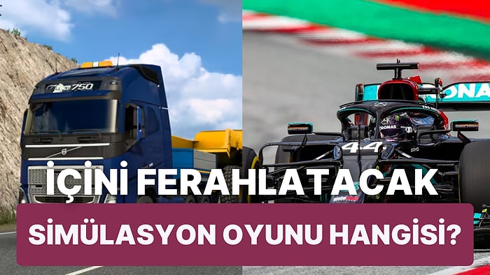 İçini Ferahlatacak O Simulator Oyunu Hangisi?