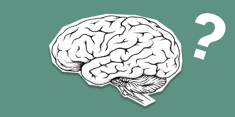 Тест на общий знания, который проверит ваш ум на прочность