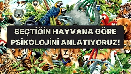 Bir Hayvan Seç, Psikolojini Anlatalım!