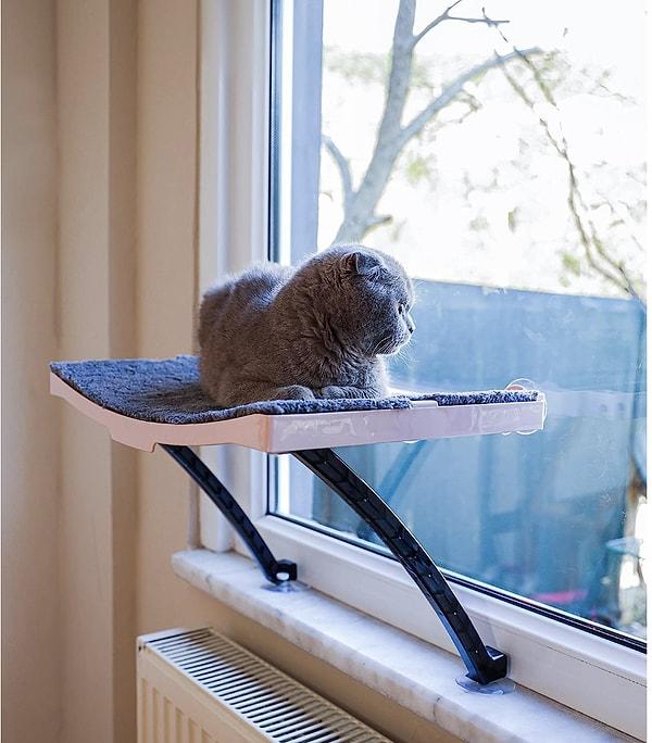 13. Hep pencere kenarında olan kediler için güzel bir ürün.
