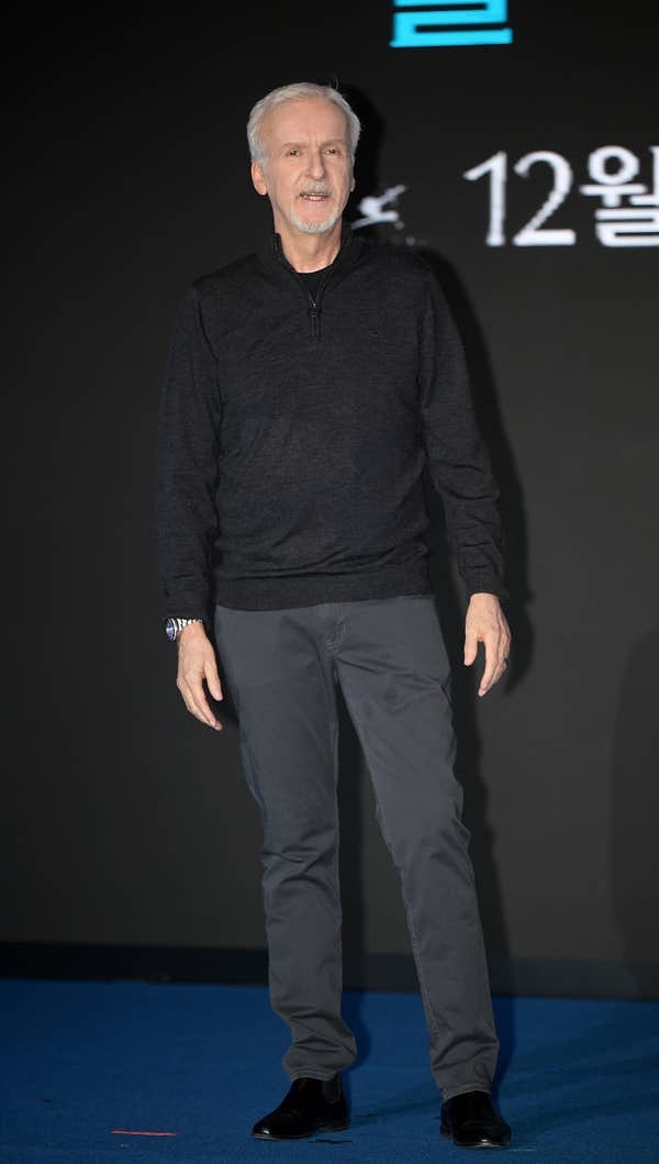 Джеймс также высказался о смерти Поля-Анри Наржеоле, французского морского эксперта. The New York Times сообщила, что он посещал место крушения «Титаника» более 35 раз