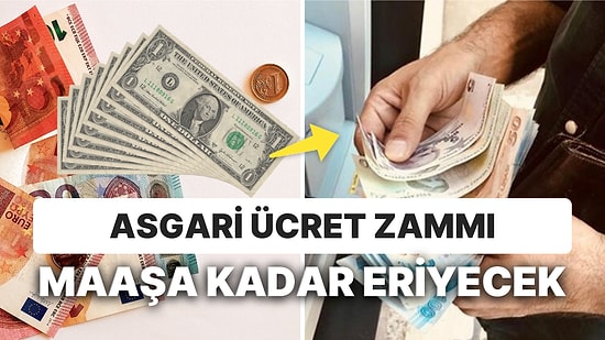 2 Günde Kaç Dolar Gitti? Asgari Ücret Zammı Maaşı Görmeden Eridi