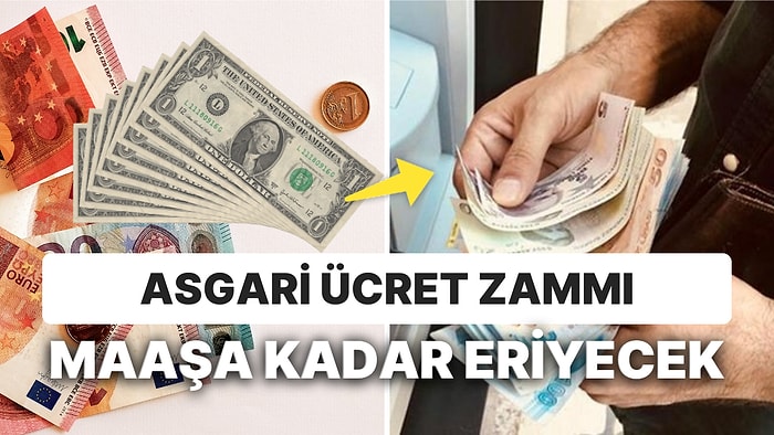 2 Günde Kaç Dolar Gitti? Asgari Ücret Zammı Maaşı Görmeden Eridi