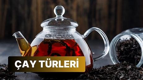 Çayın Çeşitleri: Dünyanın En İyi Çayını Öğrenmek İçin Keşfe Çıkıyoruz!