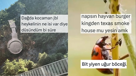 Dağdaki Hoparlör Heykelinden Uğur Böceklerinin Beslenme Alışkanlıklarına Son 24 Saatin Viral Tweetleri