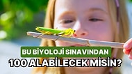Bu Biyoloji Sınavından 100 Alabilecek misin?