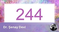 Haftanın Numerolojik Kodu 244