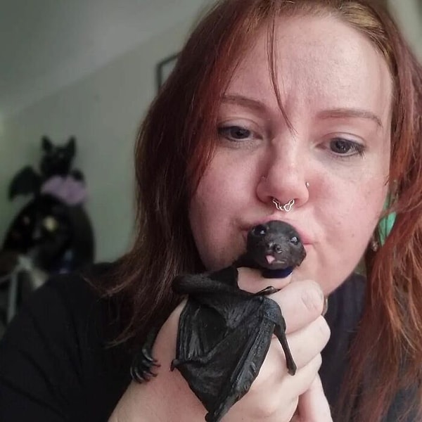 Ри начала работать волонтером в больнице для летучих мышей, чтобы получить опыт и потом заниматься кошками и собаками