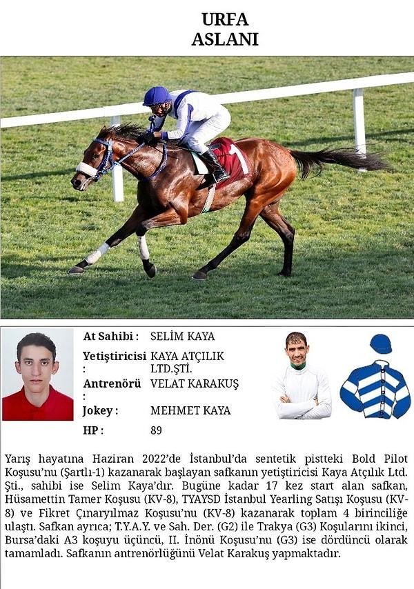 At yarışlarında 97. Gazi Koşusu'nu Selim Kaya'nın sahibi olduğu, jokeyliğini Mehmet Kaya'nın yaptığı "Urfa Aslanı" isimli safkan kazanarak sahibine 5 milyon TL ikramiye kazandırdı.