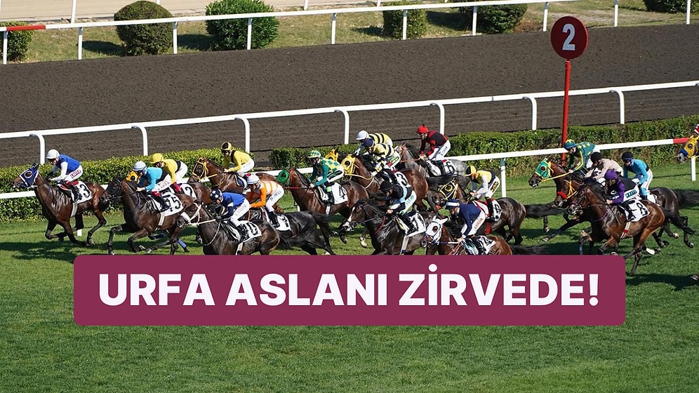 97. Gazi Koşusu'nun Kazananı "Urfa Aslanı" Oldu!