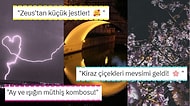 Fotoğraf Çekmek İsterken Yanlışlıkla Rönesans Tablosu Yaratan Kişilerden Muazzam Kareler