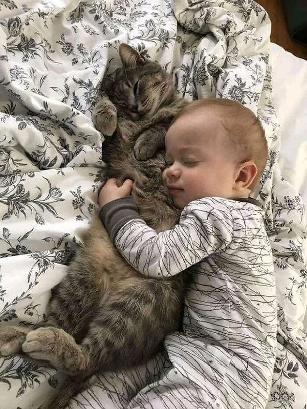 10. «Вот так они и уснули вместе»