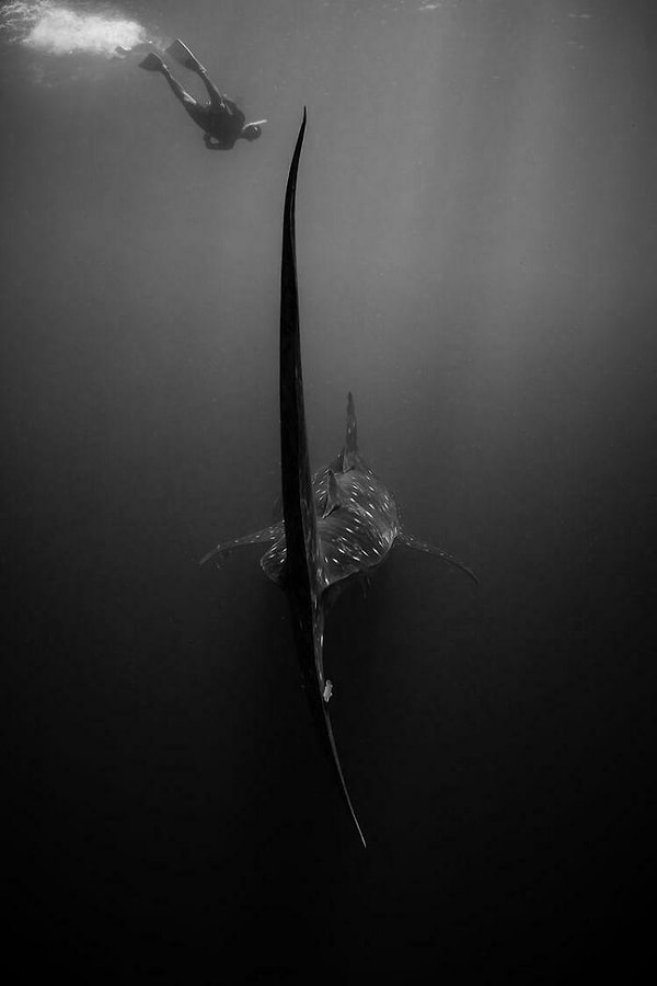 7. Страх неизведанного