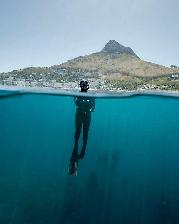 29. Дайвер в Кейптауне