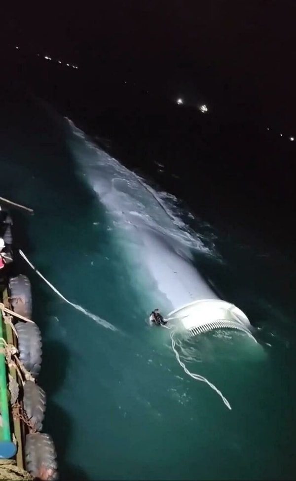 30. Как в фильме ужасов