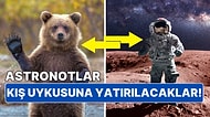 Yapay Kış Uykusu! Uzay'a Çıkmanın Yeni Yolu Olarak Astronotlar Artık Uyutulacak mı?