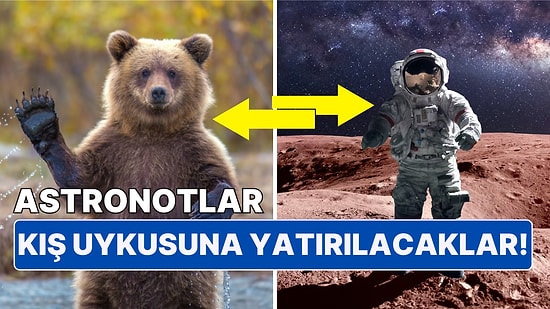 Yapay Kış Uykusu! Uzay'a Çıkmanın Yeni Yolu Olarak Astronotlar Artık Uyutulacak mı?