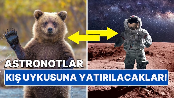 Yapay Kış Uykusu! Uzay'a Çıkmanın Yeni Yolu Olarak Astronotlar Artık Uyutulacak mı?