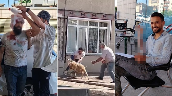 Kurban Bayramı'nda Bilindik Manzaralar... Acemi Kasaplar Hastanelik Oldu!