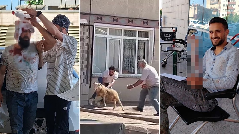 Kurban Bayramı'nda Bilindik Manzaralar... Acemi Kasaplar Hastanelik Oldu!