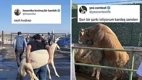 Kızılcık Şerbeti Kurban Özel Bölümünden Koyunu Sırtlayan Abiye Kadar Son 24 Saatin Viral Tweetleri