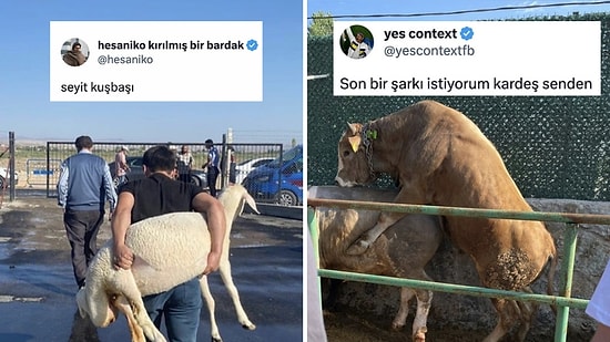 Kızılcık Şerbeti Kurban Özel Bölümünden Koyunu Sırtlayan Abiye Kadar Son 24 Saatin Viral Tweetleri